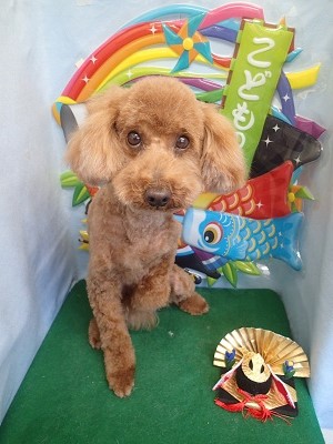 『スッキリしたー♪』