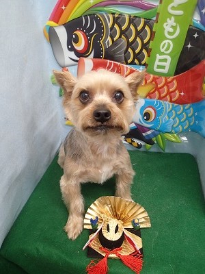 『かるくなったー!』