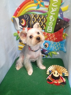 『サマーカットでスッキリしたよ♪』