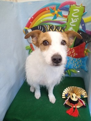 『お迎え待ち遠しいなー!』