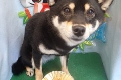 『サッパリしたー！！』