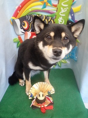 『サッパリしたー！！』