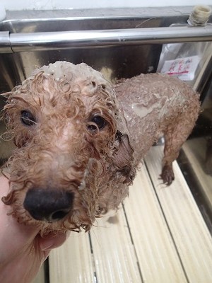 『コレ！気持ちいいね！！』