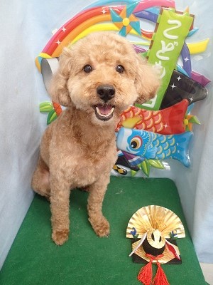 『キレイに整えてもらいました☆』