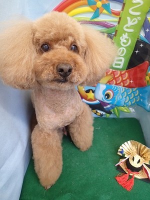 『今日もフワッフワ♪』