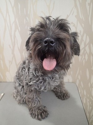 『かなり伸びちゃった☆』