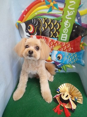 『サッパリしました☆』