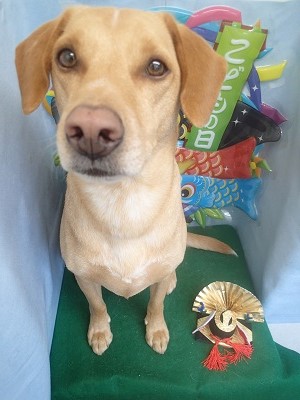 『サラサラになったよ！』