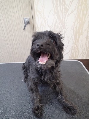 『久しぶりー!よろしくね☆』