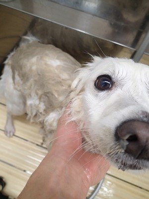 『気持ちいいなー♪』