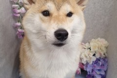 『スッキリして気持ちいいい♪』