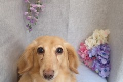 『今日もサラサラ♪』