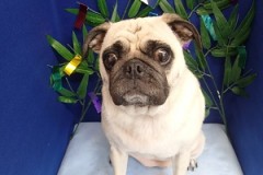 『サラサラになりました☆』