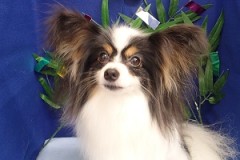 『どお？このサラサラ感！』