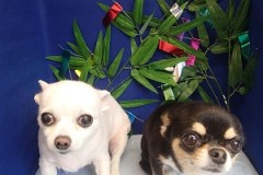 『スッキリしたー！後半も頑張るぞ！』