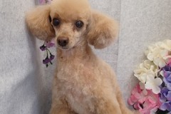 『うん！スッキリした♪』