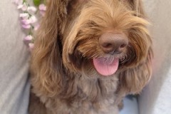 『サラサラになりました☆』