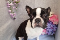 『待ち遠しいね！！』