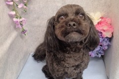 『もうお迎え？？』