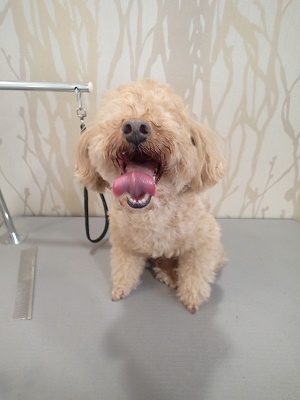 『いつもの感じで、今日もよろしくね！』