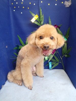 『さっぱりして気持ちいい～♪』