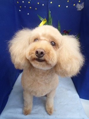 『軽くなった☆』