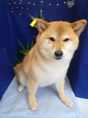 『眠くなってきたわ。。』