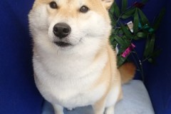 『サラサラになったー♪』