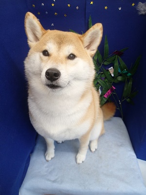 『サラサラになったー♪』