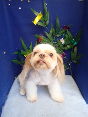 『涼しくなったー!』