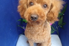 『そうそう、これこれ！』