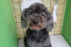 『さっぱり可愛くしてもらった～♪』