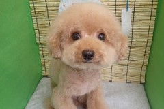 『夏はこれくらいがいいかも！』