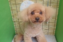 『いつもの感じになった～♪』