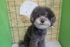 『綺麗になって気持ちいい♪』