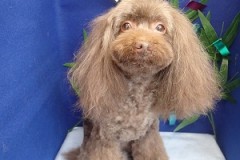 『可愛くしてもらったよ♪』