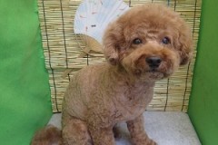 『涼しくなった―♪』