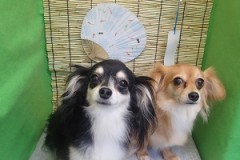 『もう帰っちゃったかな？』