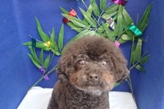 『お店涼しくて快適～♪』