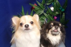 『お利口だったでしょ？』