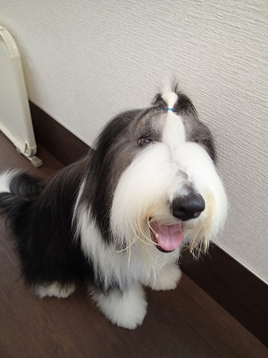 『もうみんなのとこ行っていい??』