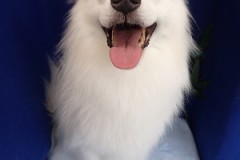 『こんな感じの笑顔でいいかな？』