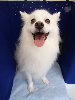 『こんな感じの笑顔でいいかな?』