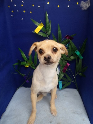 『スッキリしたなー♪』