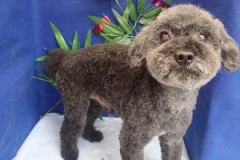 『スッキリしたー！！！』