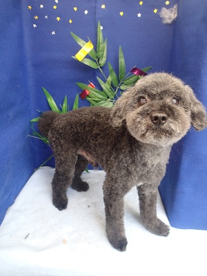 『スッキリしたー！！！』