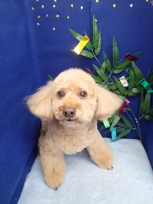 『全然違うよね♪』