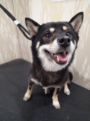 『今日はなにー？？』