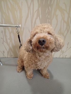 『今日も頑張ります！』