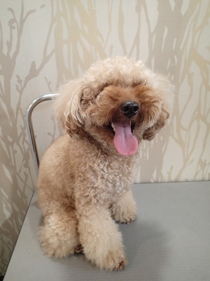 『蒸し暑くて嫌になるねー』